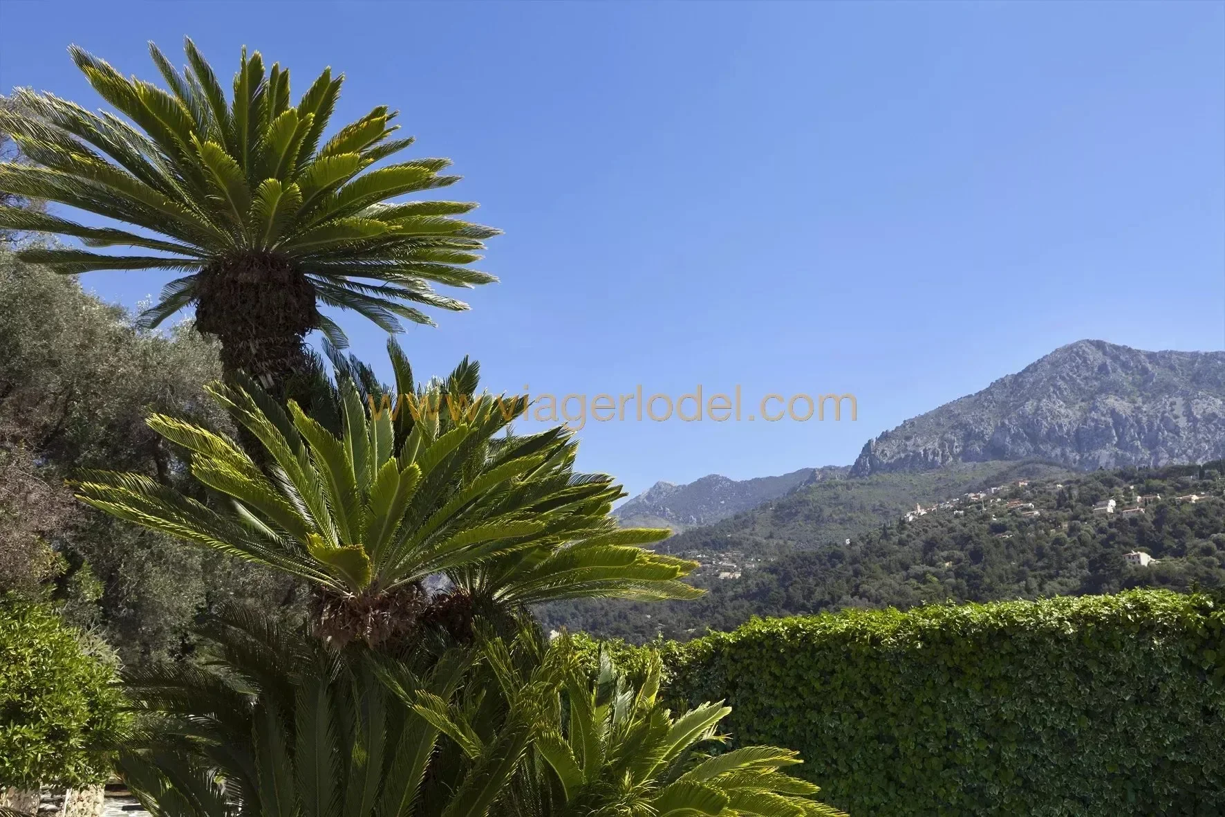 Menton, Provence-Alpes-Côte d'Azur, France. - Photo 6