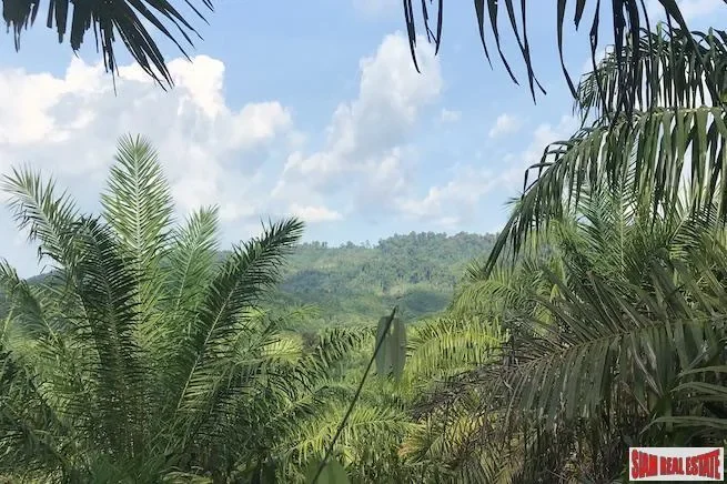 Phang Nga,, Tham, Phang-nga, Thailand. - Photo 3