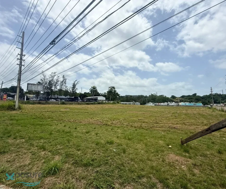 Gallery photo 5