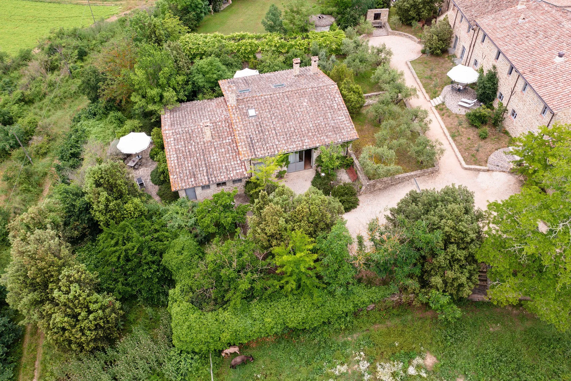 Exterior photo 4