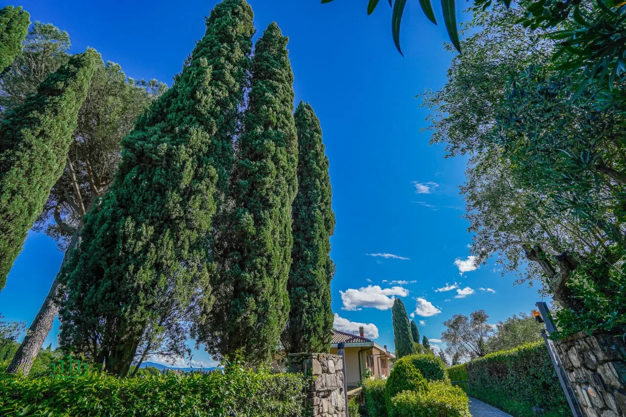 via  di San Romano, Florence, Tuscany, Italy. - Photo 44