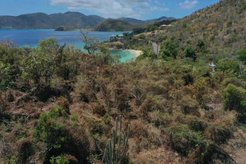 6e1&2 Hansen Bay, St. John, VIRGIN ISLANDS (U.S.), East End, St. John, U.S. Virgin Islands. - Photo 24