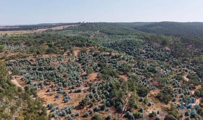 Alpiarça Land