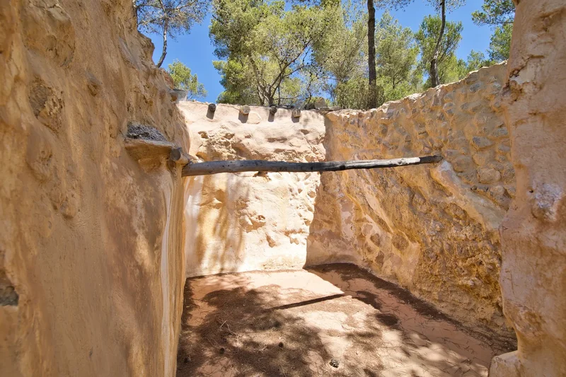 Cmo. Morna Valley, 07810, Illes Balears, Spain, Sant Joan de Labritja, Balearic Islands, Spain. - Photo 11