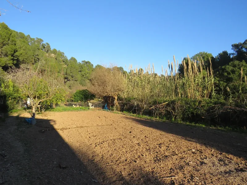 07159 San Telmo, Islas Baleares, España, Sant Elm, Andratx, Balearic Islands. - Photo 8