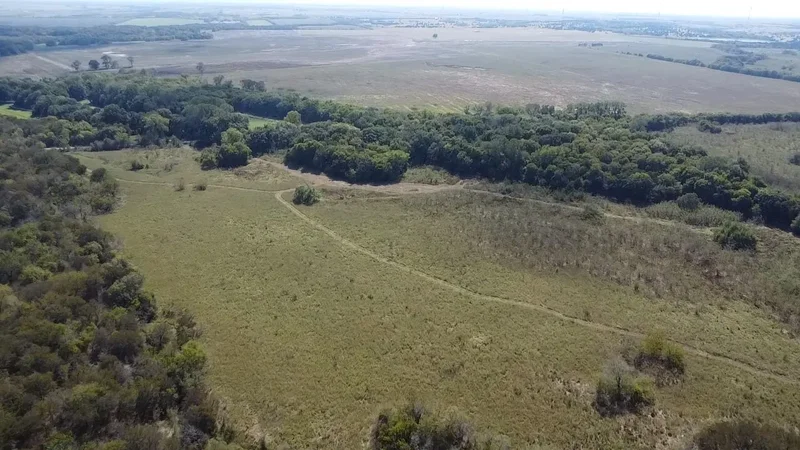 Tbd SW CR 3160, Dawson, TX 76639, Hubbard, Texas, United States. - Photo 15