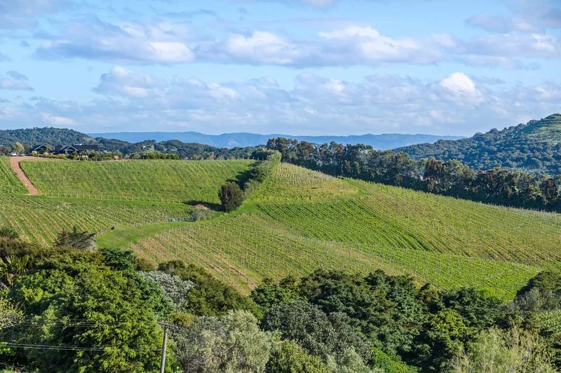 363a Sea View Road, Onetangi, Waiheke Island, AUK, Waiheke Island, Auckland, New Zealand. - Photo 41