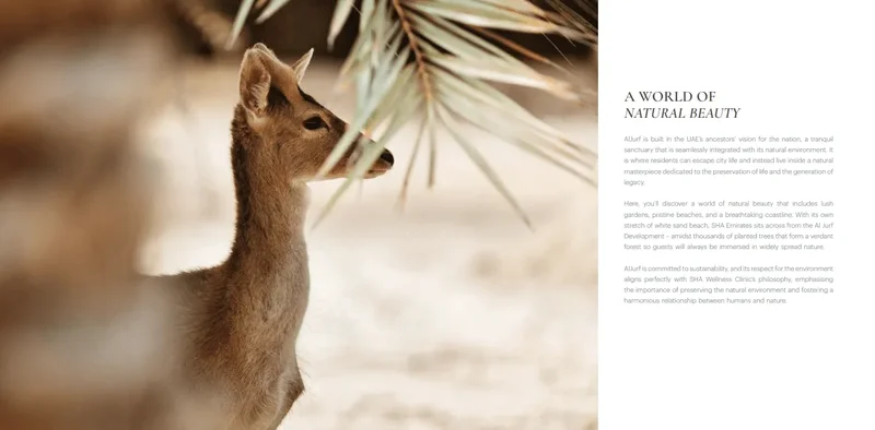 Ghadeer Al Tayr, Abu Dhabi, United Arab Emirates. - Photo 9
