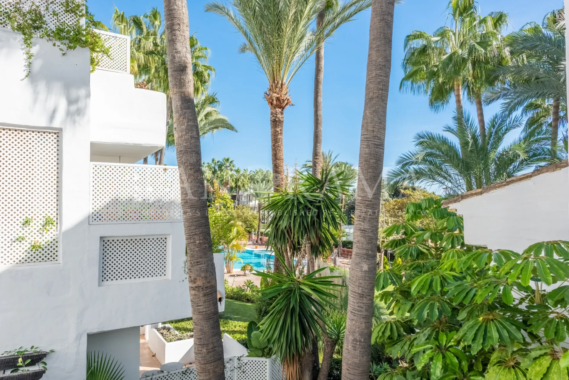 Golden Mile, Andalusia, Spain. - Photo 12