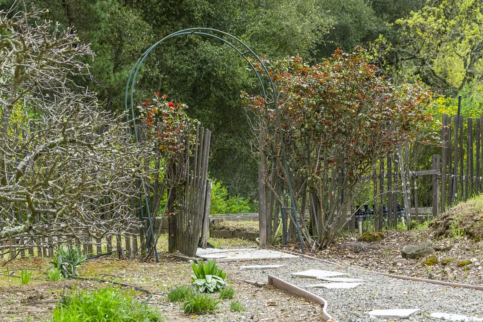 18101 Idylwild Road , Los Gatos, CA 95033, Los Gatos, California, United States. - Photo 63