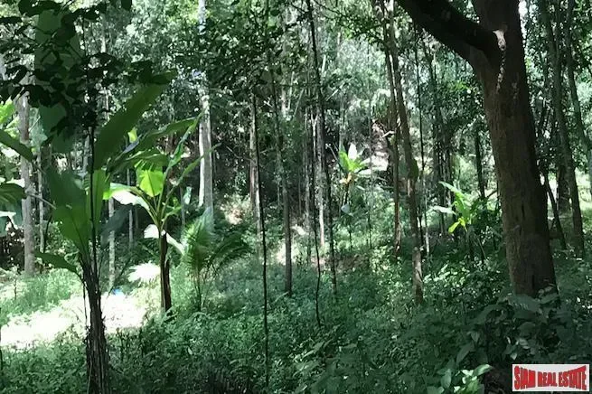 Investment Land with Spectacular Phang Nga Bay Views in Takua Thung