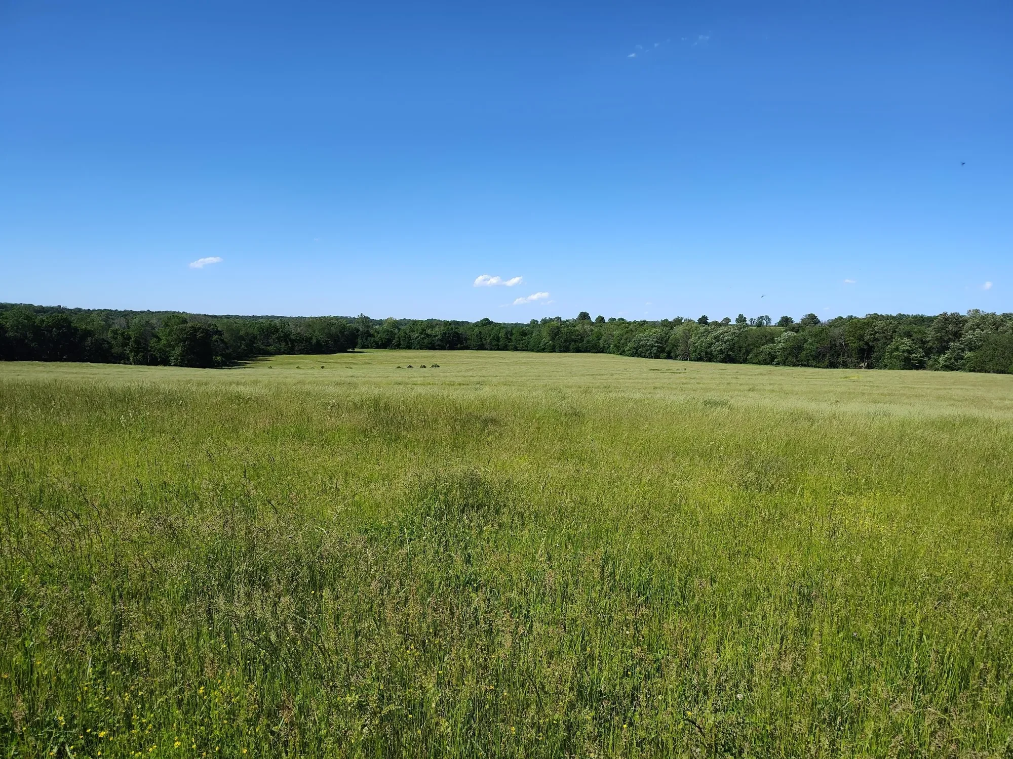 1898 E 332nd Road, Polk, MO 65727, Bolivar, Missouri, United States. - Photo 85