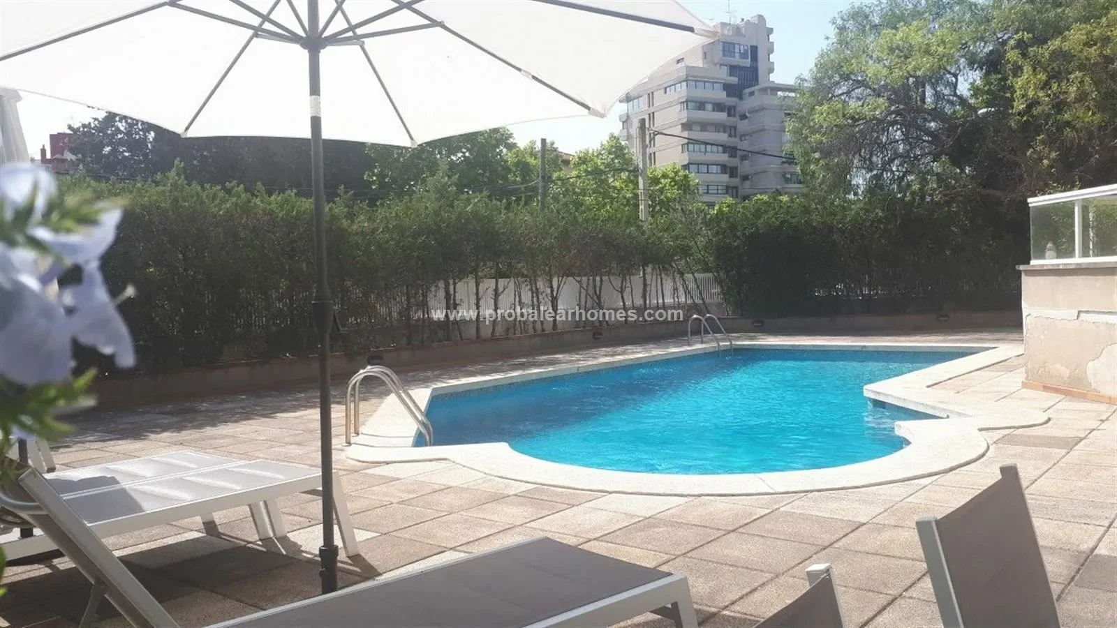 SON ARMADANS, PALMA DE MALLORCA, Baleares, PALMA DE MALLORCA, Palma, Balearic Islands, Spain. - Photo 9