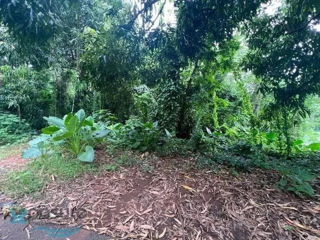 Gallery photo 6