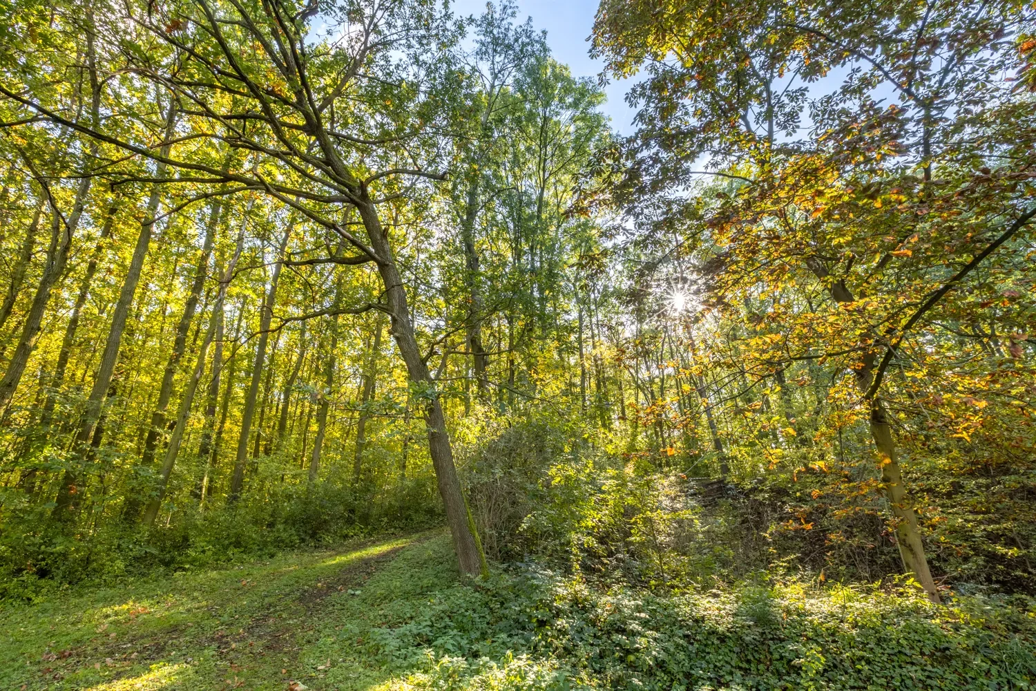 Property photo 12