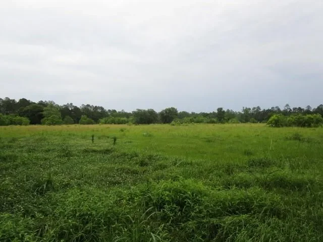 0 FIELDER Lane, Clayton, Georgia, United States. - Photo 4