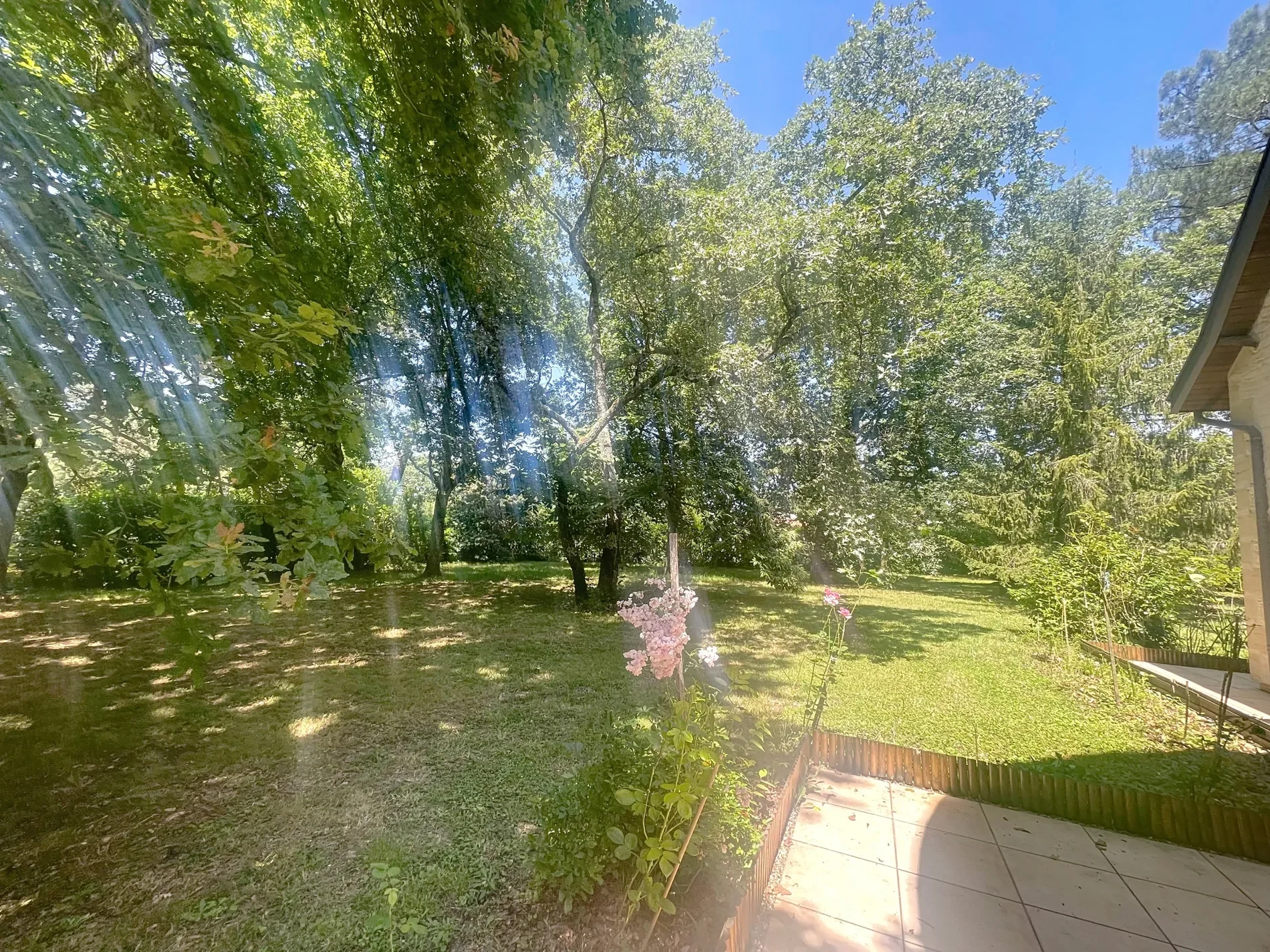 Gallery photo 10