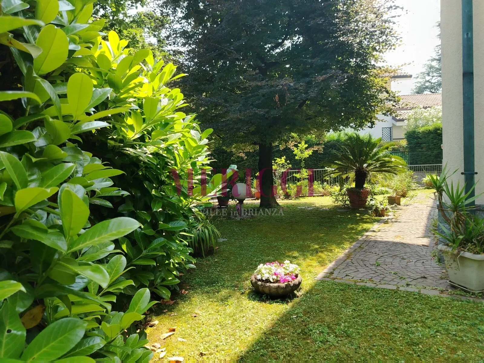 Viale dei Tigli, Cusano Milanino, Lombardy, Italy. - Photo 29