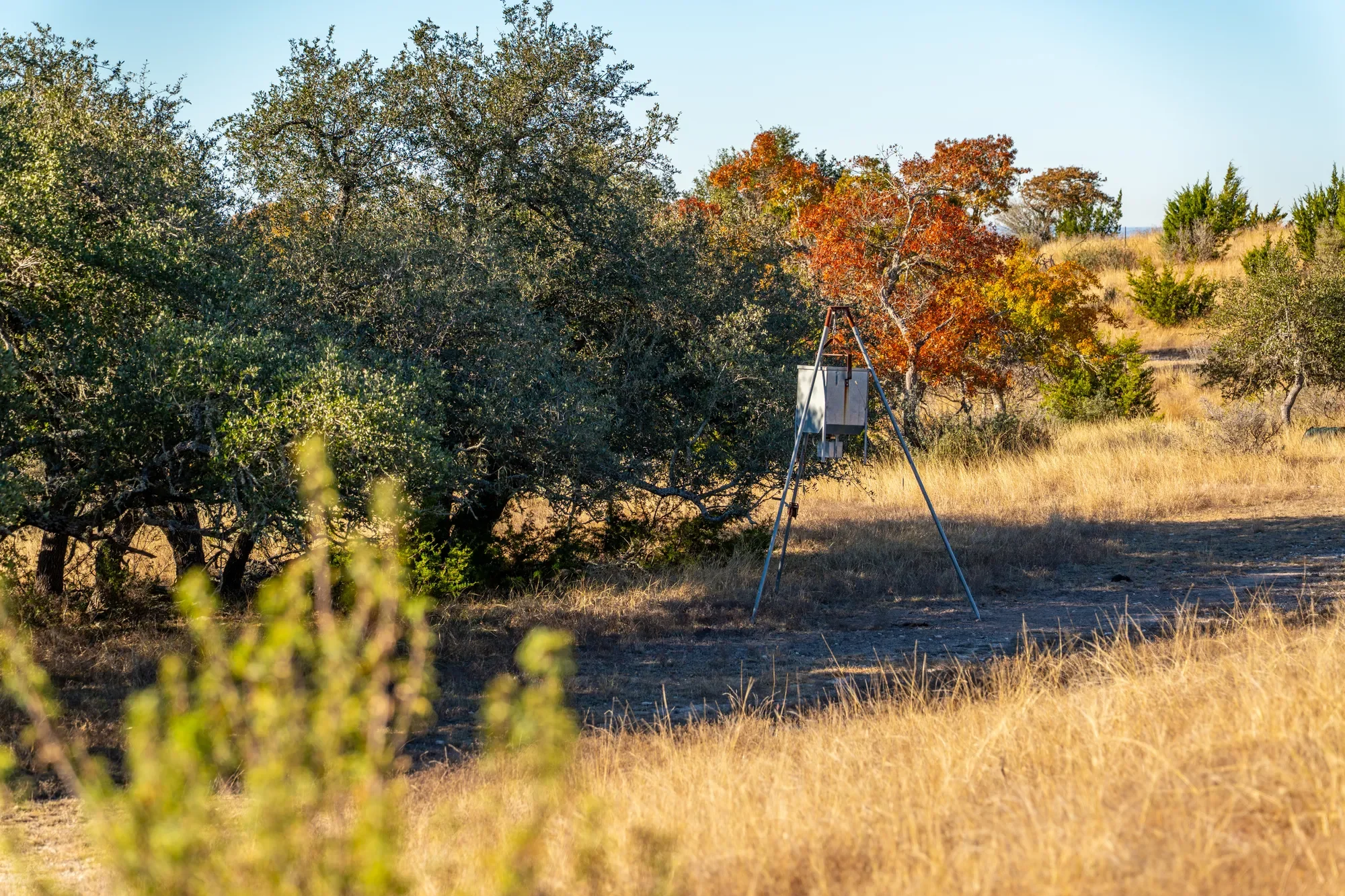 196 Hermit Hill Road , Fredericksburg, TX 78624, Fredericksburg, Texas, United States. - Photo 8