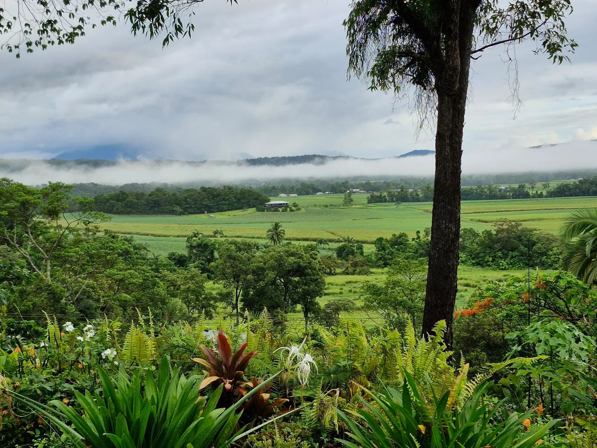 Miallo, Somerset Drive, Miallo, Queensland, Australia. - Photo 3
