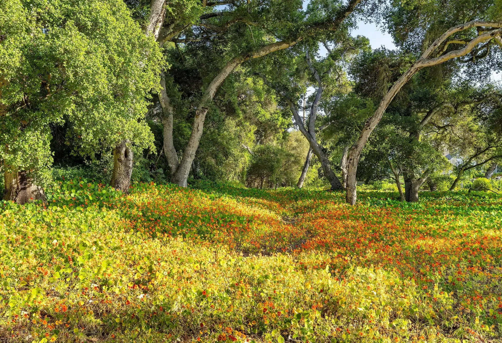 500 Eastgate Lane, Montecito, California, United States. - Photo 3