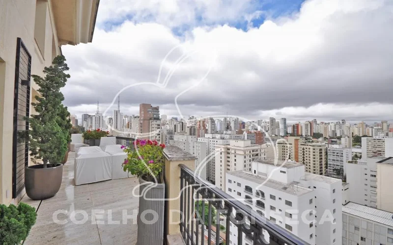 completely renovated duplex penthouse