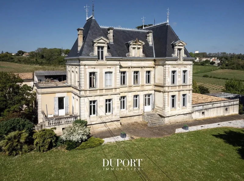 Bordeaux Vineyard property