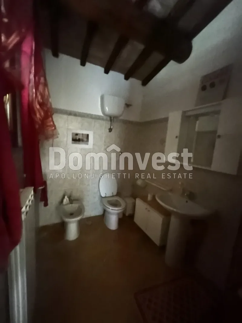 strada villa pinciana, Capalbio, Tuscany, Italy. - Photo 16