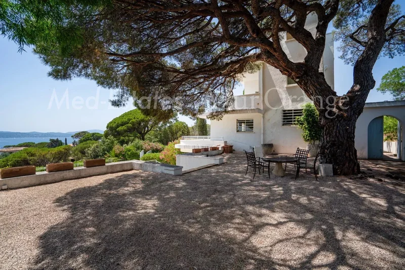Sainte-Maxime, Provence-Alpes-Côte d'Azur, France. - Photo 5