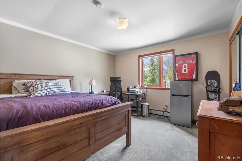 638 Mine Road, Idaho Springs, Colorado, United States. - Photo 6