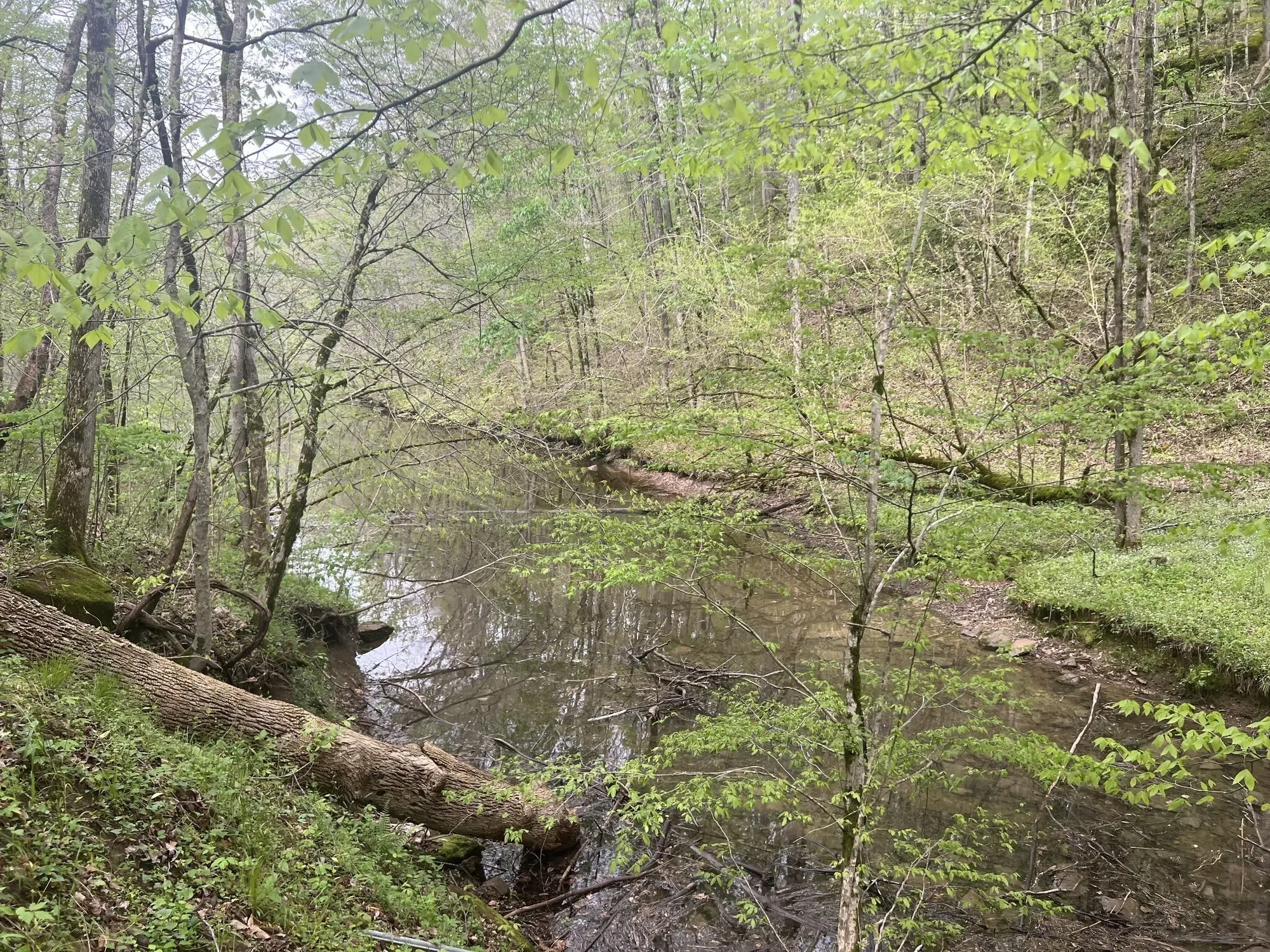 0 Huff Hollow Rd , Granville, TN 38564, Granville, Tennessee, United States. - Photo 29