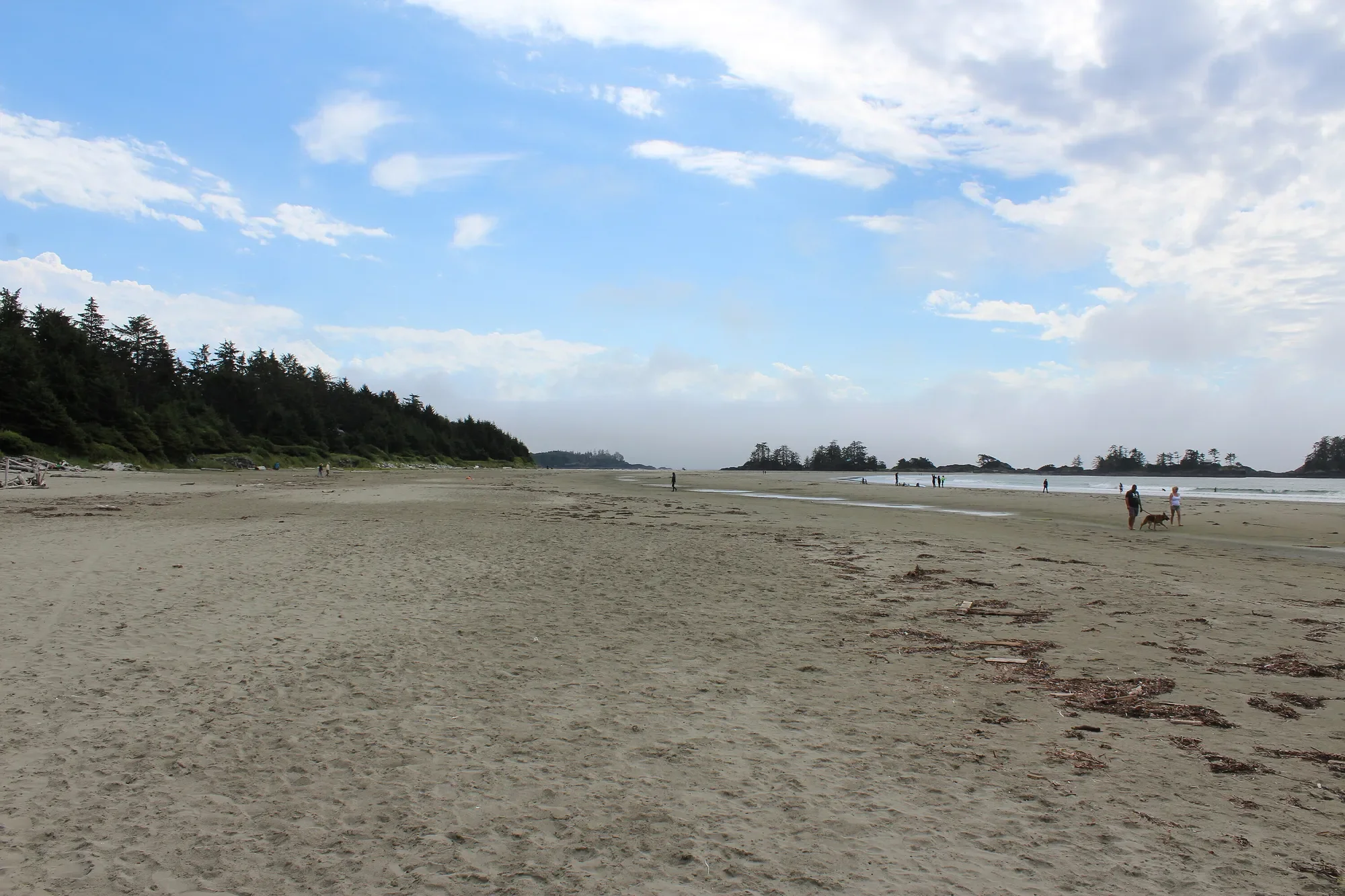 Gallery photo 6