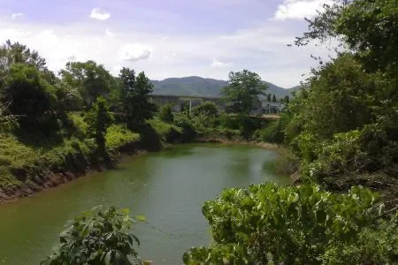 Phuket,, Si Sunthon, Phuket, Thailand. - Photo 3