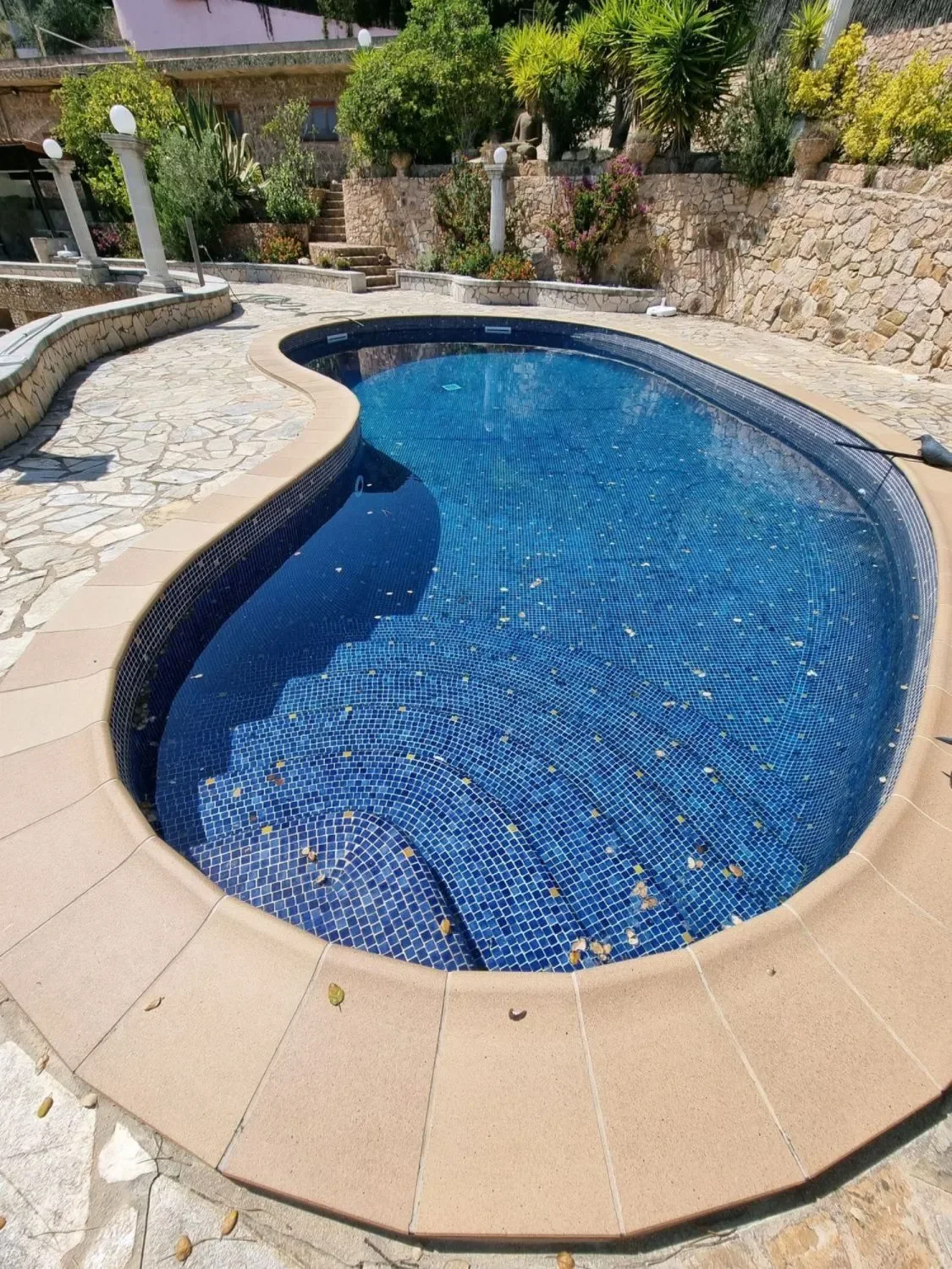 Serra Brava, Lloret de Mar, GIRONA, Lloret de Mar, Lloret de Mar, Catalonia, Spain. - Photo 14