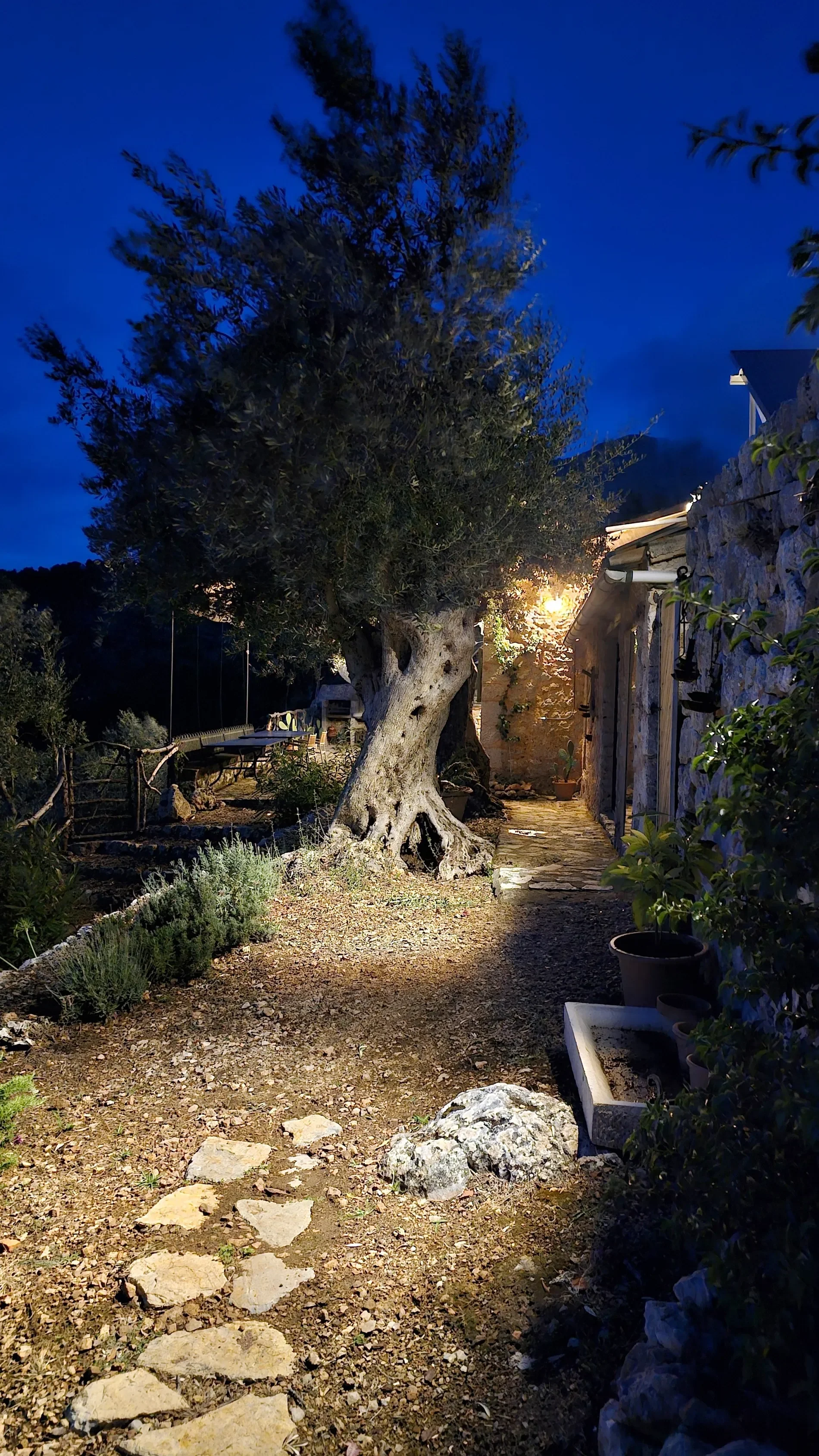 Gallery photo 12