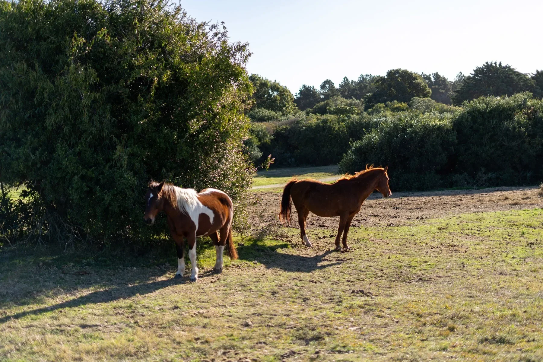 Exterior photo 2