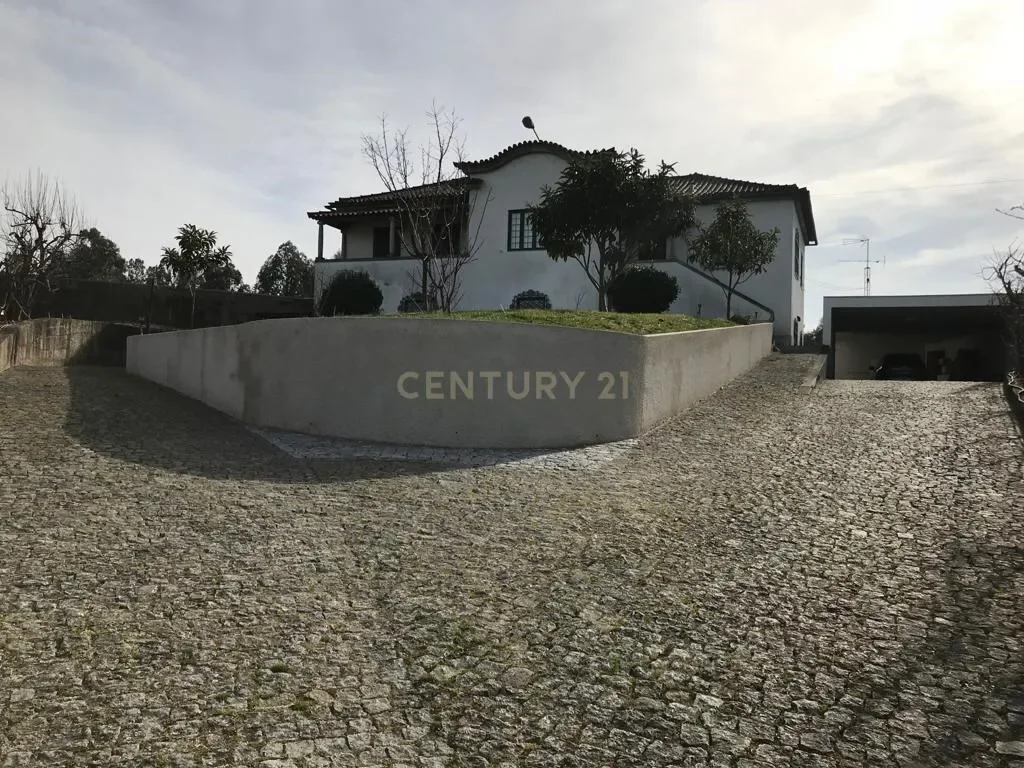 Gallery photo 7