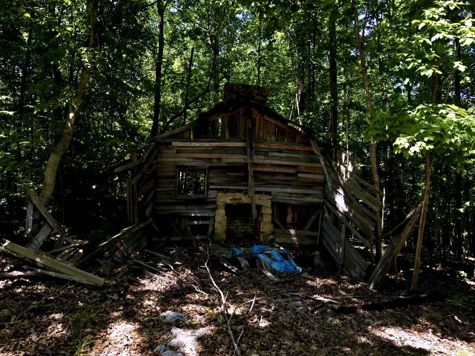 Gallery photo 5