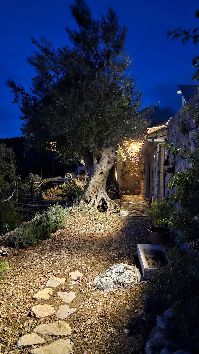 07109 Fornalutx, Balearic Islands, Spain, Fornalutx, Balearic Islands, Spain. - Photo 12