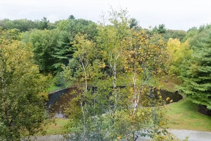 79 Florence St, #402S, Newton, MA, 02467, USA, Brookline, Massachusetts, United States. - Photo 24