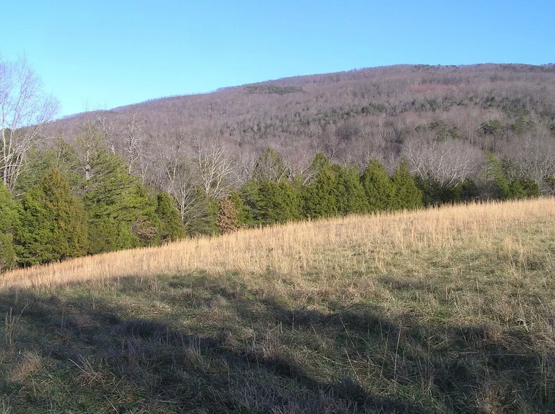 4114 Lower East Valley Rd, Dunlap, TN 37327, Dunlap, Tennessee, United States. - Photo 14