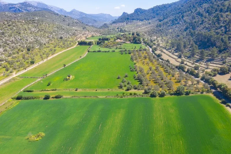 Bunyola, Balearic Islands, Spain. - Photo 5