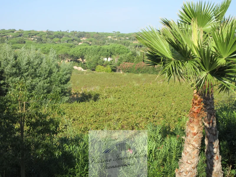 Quartier des Vanades, 22 chemin des salins, Saint-Tropez, Provence-Alpes-Côte d'Azur, France. - Photo 22