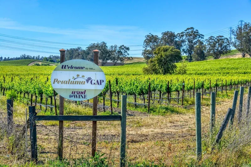 2500 Herzog Drive, Petaluma, CA 94954, Petaluma, California, United States. - Photo 5