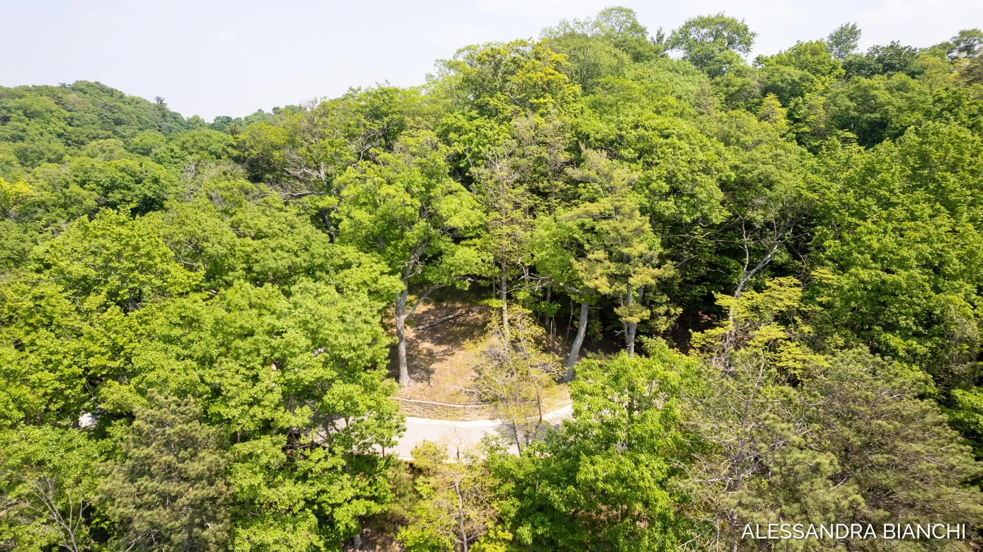 225 Dunegrass Ridge Drive, Saugatuck, MI 49453, Fennville, Michigan, United States. - Photo 1