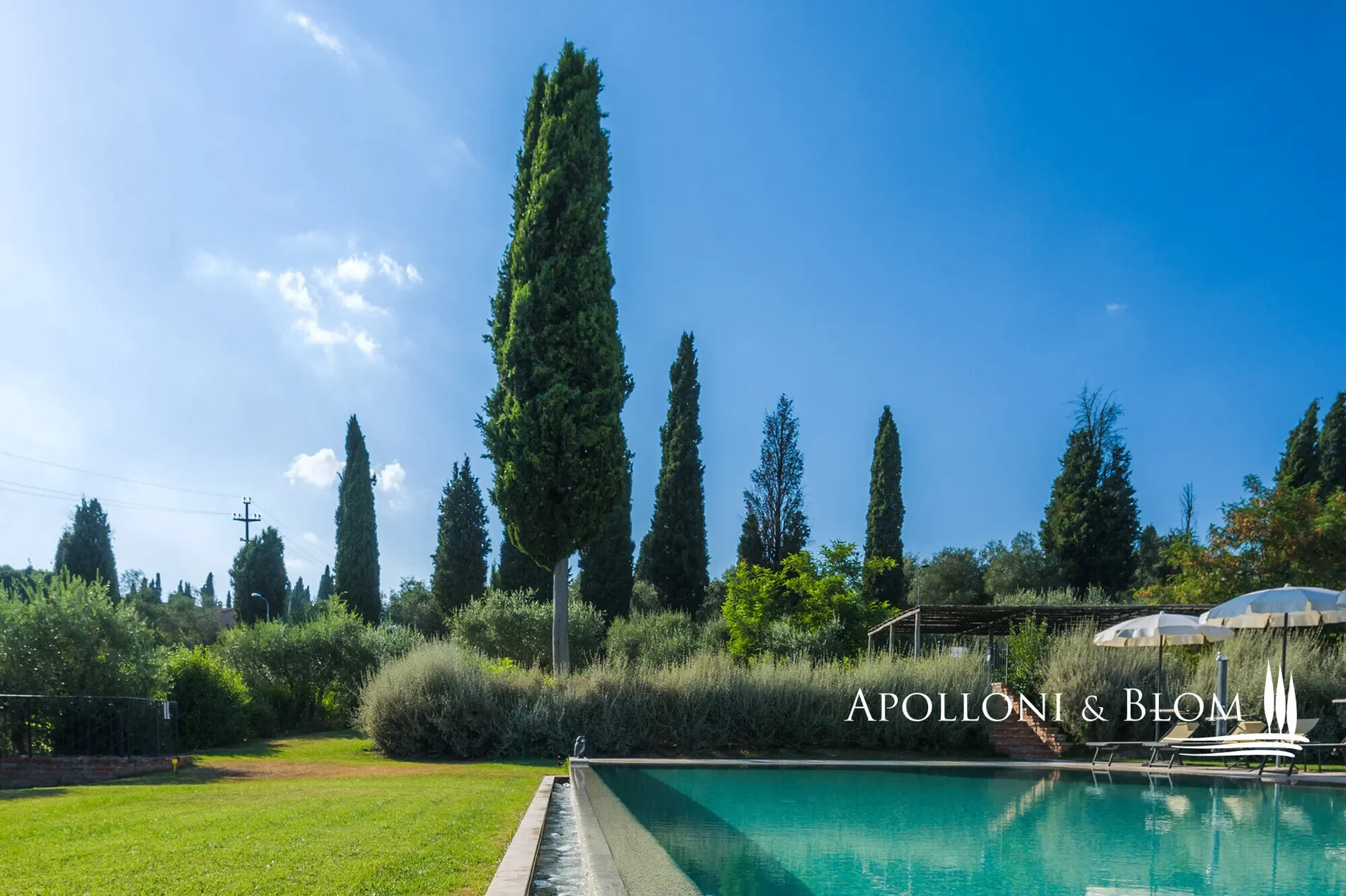 Sinalunga, Tuscany, Italy. - Photo 14