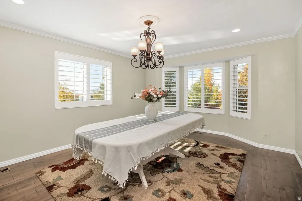 Gallery photo 10