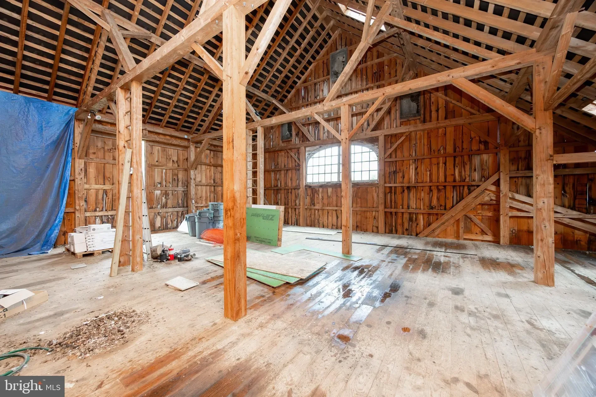 Gallery photo 11