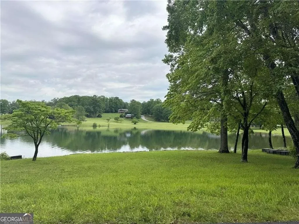 Hiawassee, Georgia, United States. - Photo 35