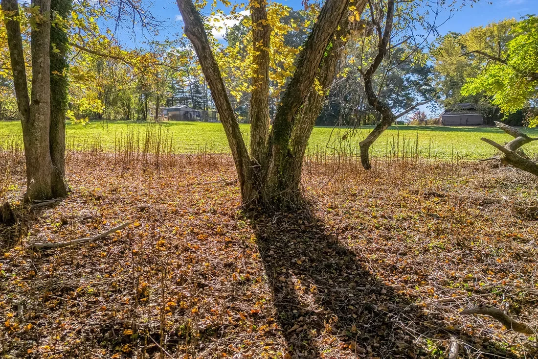 628 New Hope Road, Flat Rock, NC 28731, Flat Rock, North Carolina, United States. - Photo 14